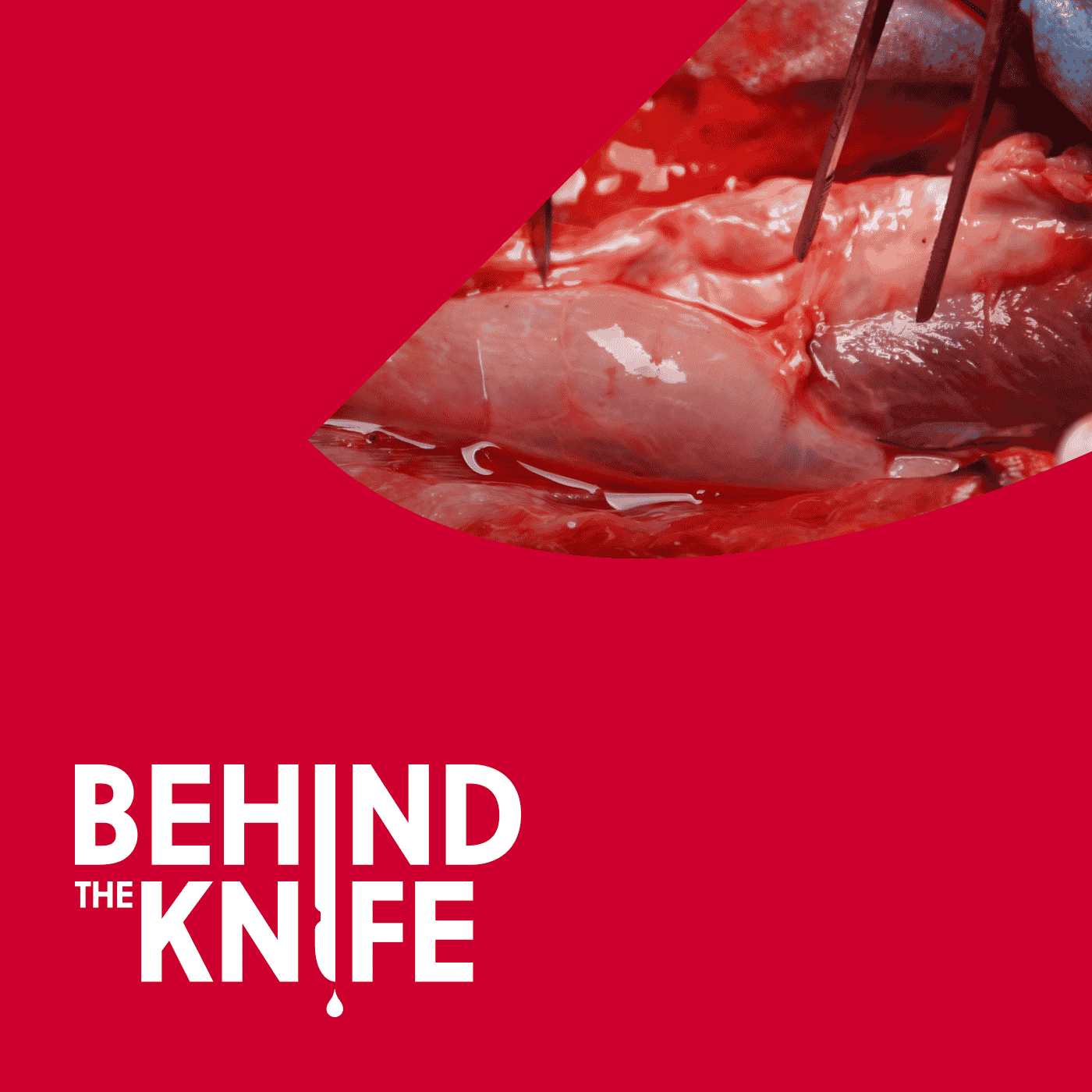 #114: NOTES: Where Are We and Where Are We Going? with Dr. John Romanelli