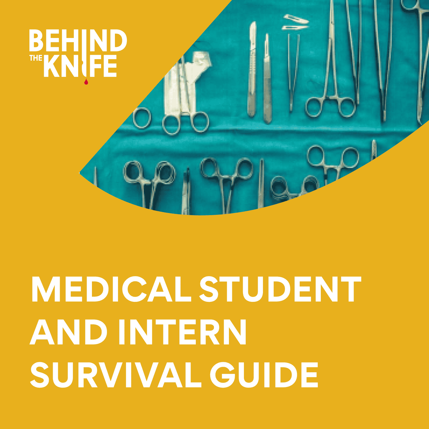 Medical Student and Intern Survival Guide